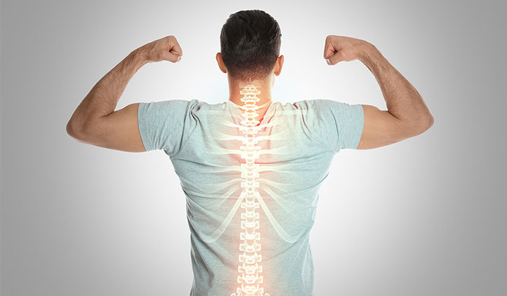 Back of man with spine artificially illuminated.