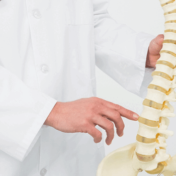 doctor holding a model of a spine pointing to spinal discs in Clifton, New Jersey